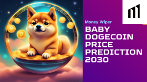 Baby Dogecoin Price Prediction 2030