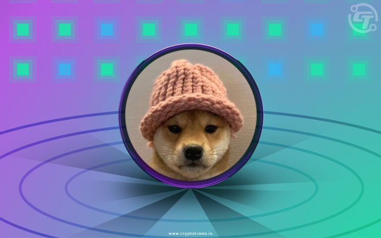 The Iconic Dogwifhat Image Enters the NFT Arena –  Money Wiper Crypto News Blog